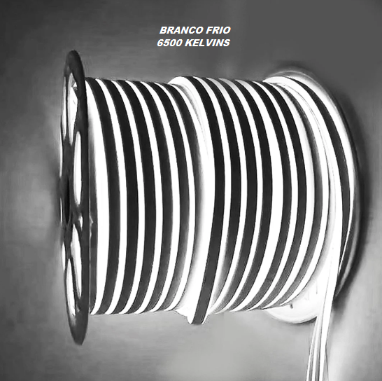Mangueira Neon Led - Rolo de 100 Metros c/ 3 Conectores