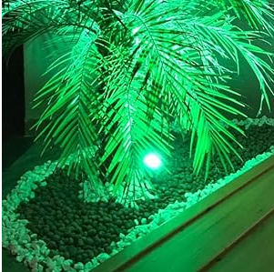 Espeto para Jardim 5W Led COB Verde IP65